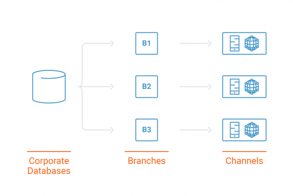 Corporate Databases | Branches | Channels