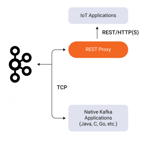 REST Proxy