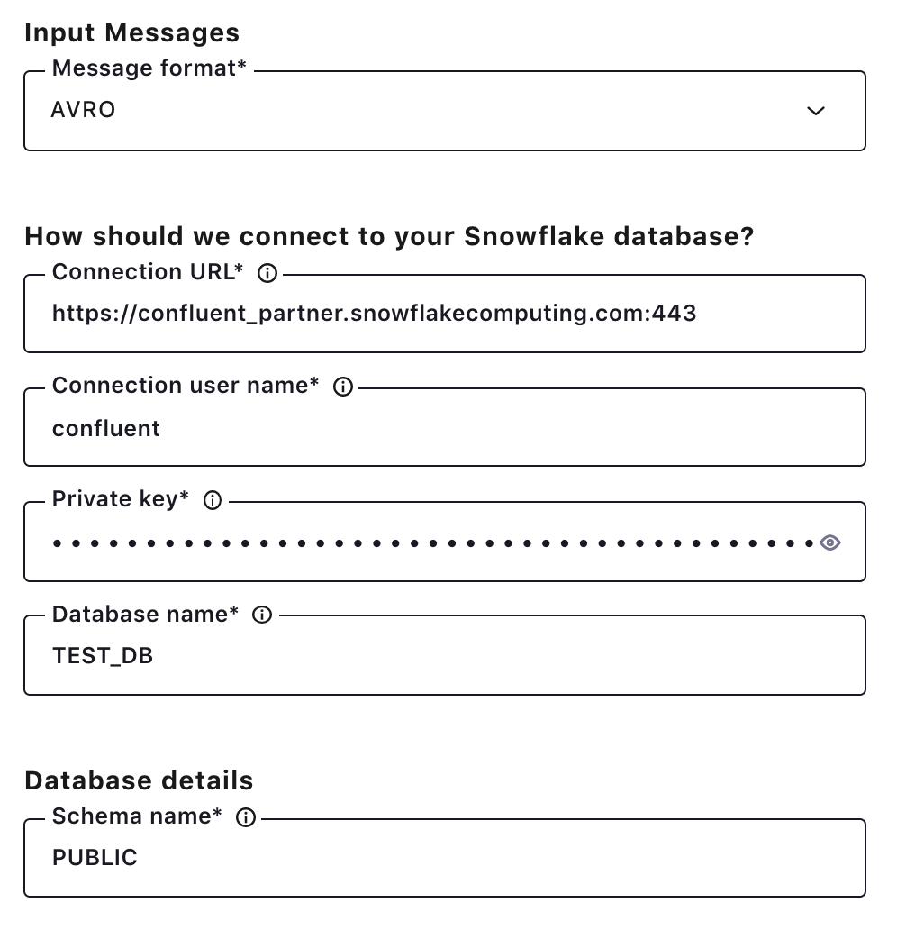 Input Messages | How should we connect to your Snowflake? | Database Details