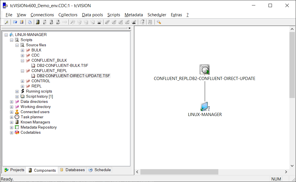 Graphical representation of the replication